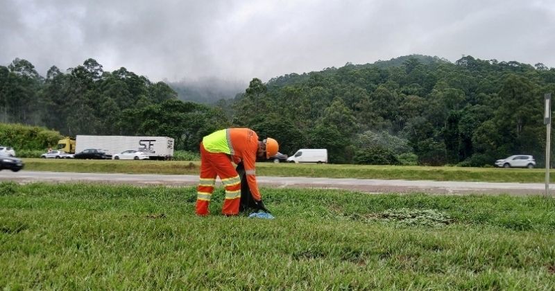 CCR AutoBAn recolhe 45 toneladas de recicláveis