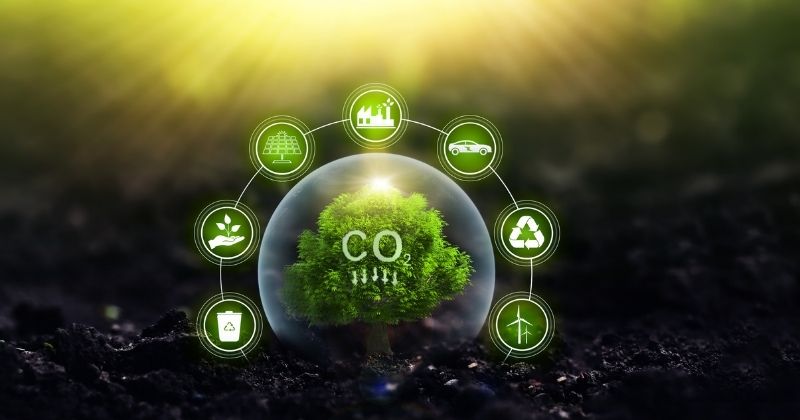 Falta de mão de obra no setor de Transportes aumenta necessidade de qualificação, mostra SETCEPAR