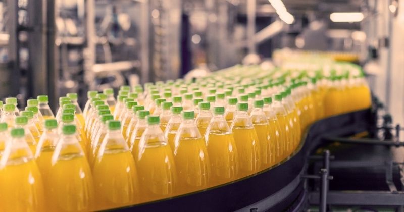 Multinacional do setor alimentício reduz 8% dos custos de transporte com nova estratégia da Massimo Consulting