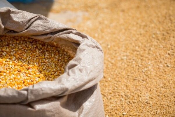Safra 2025/26 será marcada por guerra, gargalos logísticos e riscos climáticos, aponta Biond Agro