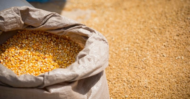 Safra 2025/26 será marcada por guerra, gargalos logísticos e riscos climáticos, aponta Biond Agro