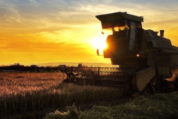 Dependência de insumos e risco logístico com Irã x Israel acendem alerta no agronegócio brasileiro, diz Biond Agro