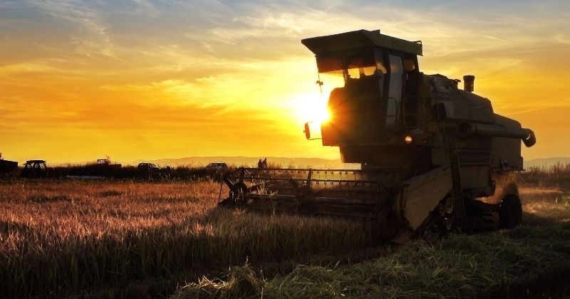 Dependência de insumos e risco logístico com Irã x Israel acendem alerta no agronegócio brasileiro, diz Biond Agro