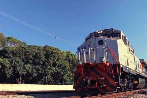 Movimentação de grãos e farelos na VLI cresce 10% e atinge recorde no primeiro semestre