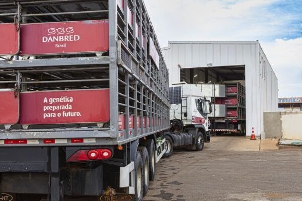 Com TADD System, DanBred Brasil eleva biossegurança e aumenta em 30% a capacidade logística da frota