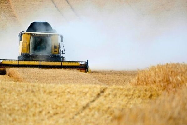 Logística no agronegócio: CEO da Motz aponta eficiência, previsibilidade e conectividade como diferenciais competitivos
