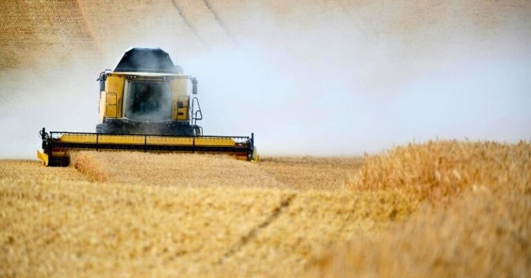 Logística no agronegócio: CEO da Motz aponta eficiência, previsibilidade e conectividade como diferenciais competitivos Logística no agronegócio: CEO da Motz aponta eficiência, previsibilidade e conectividade como diferenciais competitivos