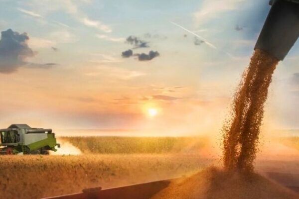 Safra de verão 2025/26: gargalos logísticos desafiam escoamento agrícola e exigem investimentos em infraestrutura