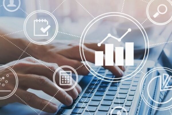 Vendemmia lança plataforma Analytics com inteligência artificial para logística colaborativa