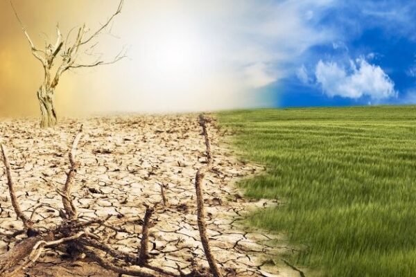 CNT revela impactos das mudanças climáticas no setor de transporte