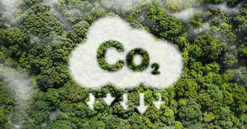 DER-SP e Poli-USP inauguram polo de pesquisas voltado a descarbonizar estradas paulistas