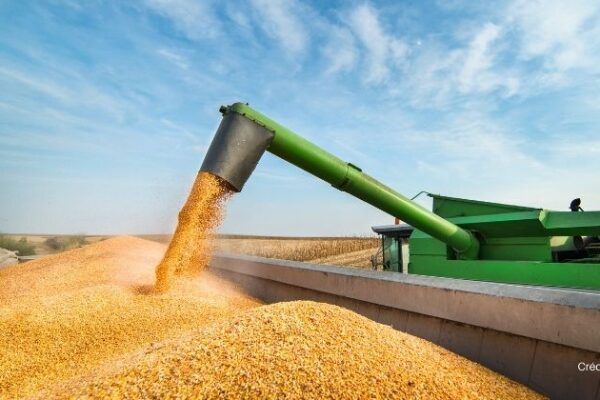 Déficit de armazenagem redefine o mercado de grãos no Brasil em meio à safra recorde, analisa Biond Agro