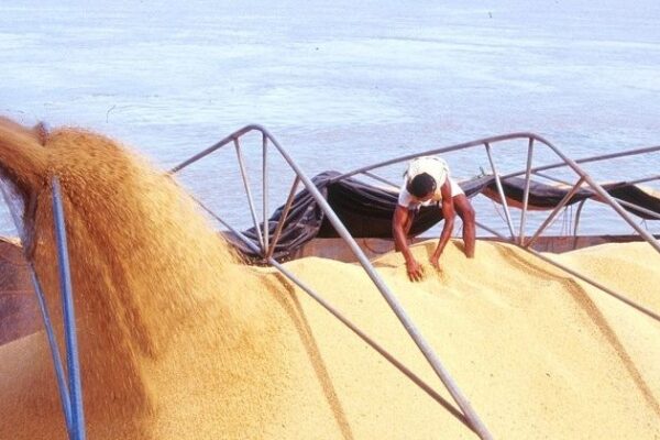 Hidrovias do Arco Norte ganham protagonismo na logística do agronegócio brasileiro em 2025