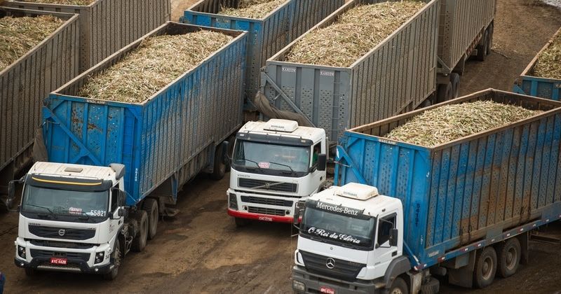 Raízen amplia programas de excelência operacional no transporte de cana e colheita
