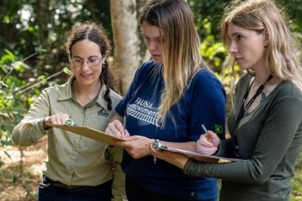 Rumo adota sistema inédito de alertas sonoros para proteção da fauna em ferrovias