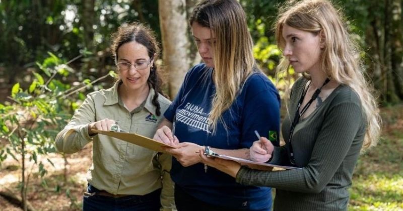 Rumo adota sistema inédito de alertas sonoros para proteção da fauna em ferrovias