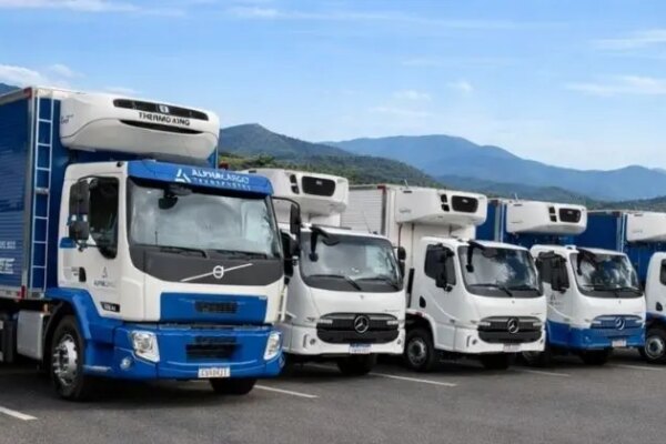 Certificação OEA deve alavancar negócios imediatos em cerca de 20% na Alpha Cargo