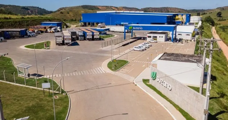 DP World assume operação logística da Suzano em armazém integrado à fábrica no Espírito Santo