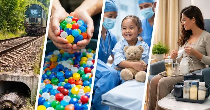 Rumo, AGV, Águia Sistemas e VLI ampliam ações ambientais e sociais no Brasil