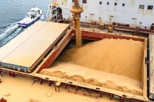 Porto de Paranaguá investe R$ 6,8 bilhões e expande conexões com a Alemanha