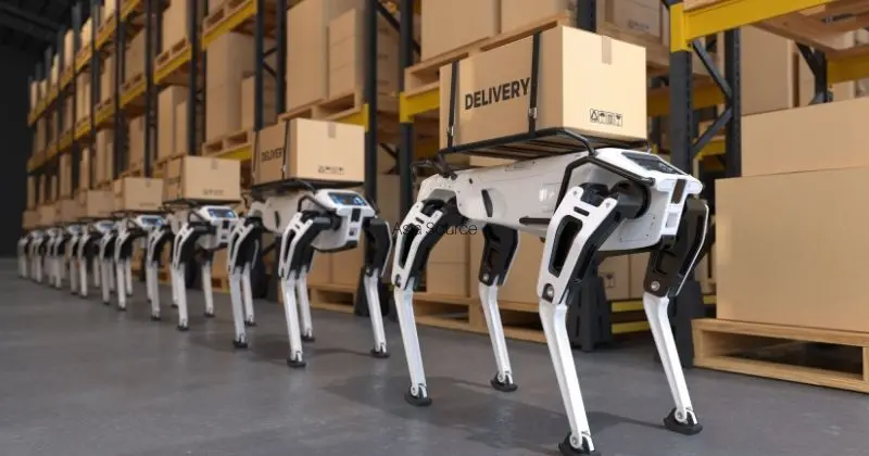 Primeira franquia brasileira a importar robôs humanoides aposta em IA para mapear mercado e reduzir incertezas no comércio exterior