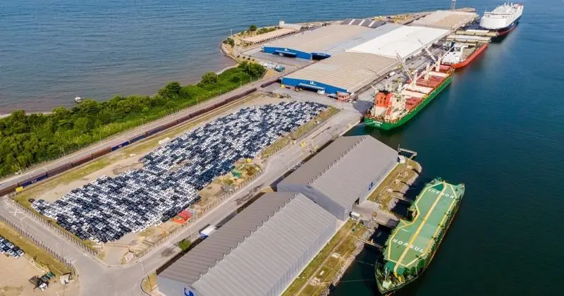 Portocel conquista certificação OEA da Receita Federal para operações de comércio exterior