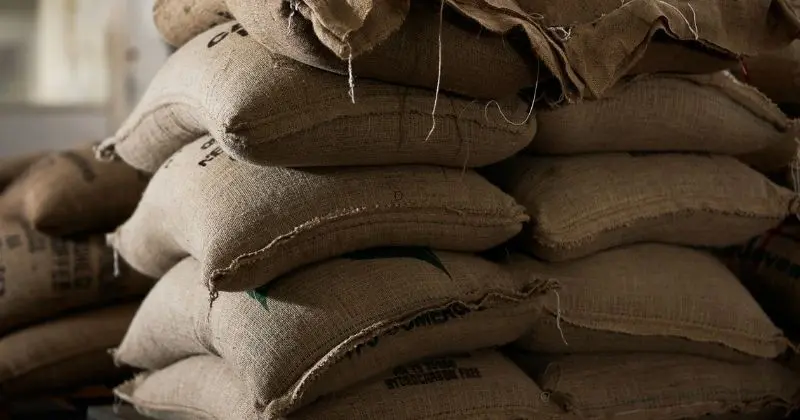 Receita Federal lança operação e alerta exportadores sobre créditos de PIS/Cofins no agronegócio