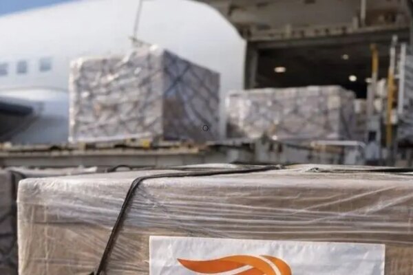 Viktória Cargas expande transporte aéreo de cargas e mira mercado internacional até 2030