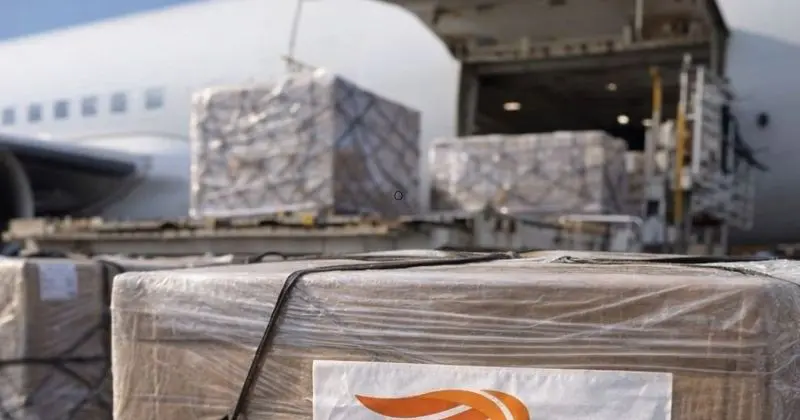 Viktória Cargas expande transporte aéreo de cargas e mira mercado internacional até 2030