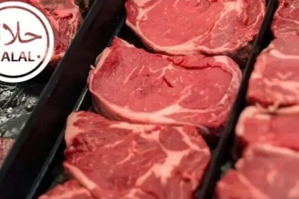 Exportações brasileiras ao Golfo recuam em abril, mas agronegócio mantém crescimento nas vendas