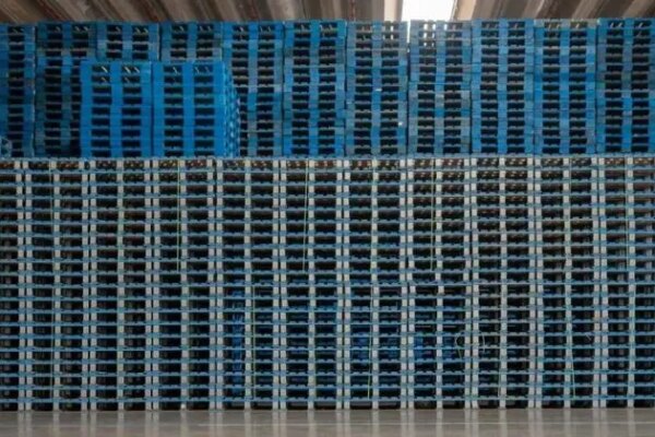 Pooling de paletes com a CHEP amplia eficiência logística do Grupo Piracanjuba