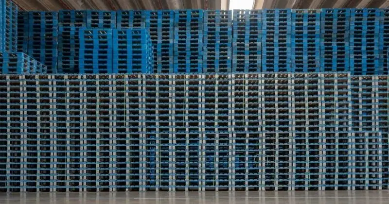 Pooling de paletes com a CHEP amplia eficiência logística do Grupo Piracanjuba
