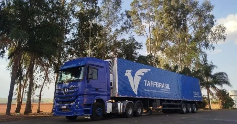 TAFF Brasil cresce 20% na cadeia fria e planeja expansão logística para o Sul do País