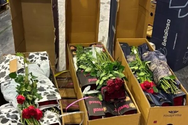Logística de flores para o Dia dos Namorados impulsiona operações da Avianca Cargo, Gollog e Viracopos