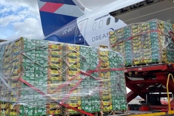 LATAM Cargo amplia eficiência no e-commerce e impulsiona exportações de frutas com expansão da conectividade internacional