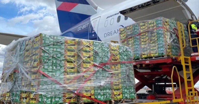 LATAM Cargo amplia eficiência no e-commerce e impulsiona exportações de frutas com expansão da conectividade internacional